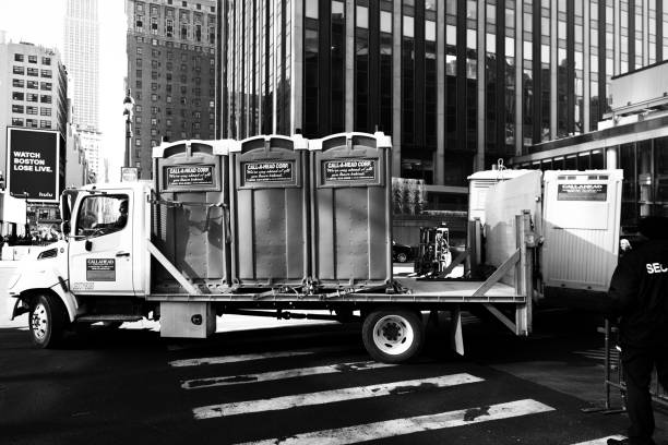 Best Affordable portable toilet rental  in Lake Crystal, MN